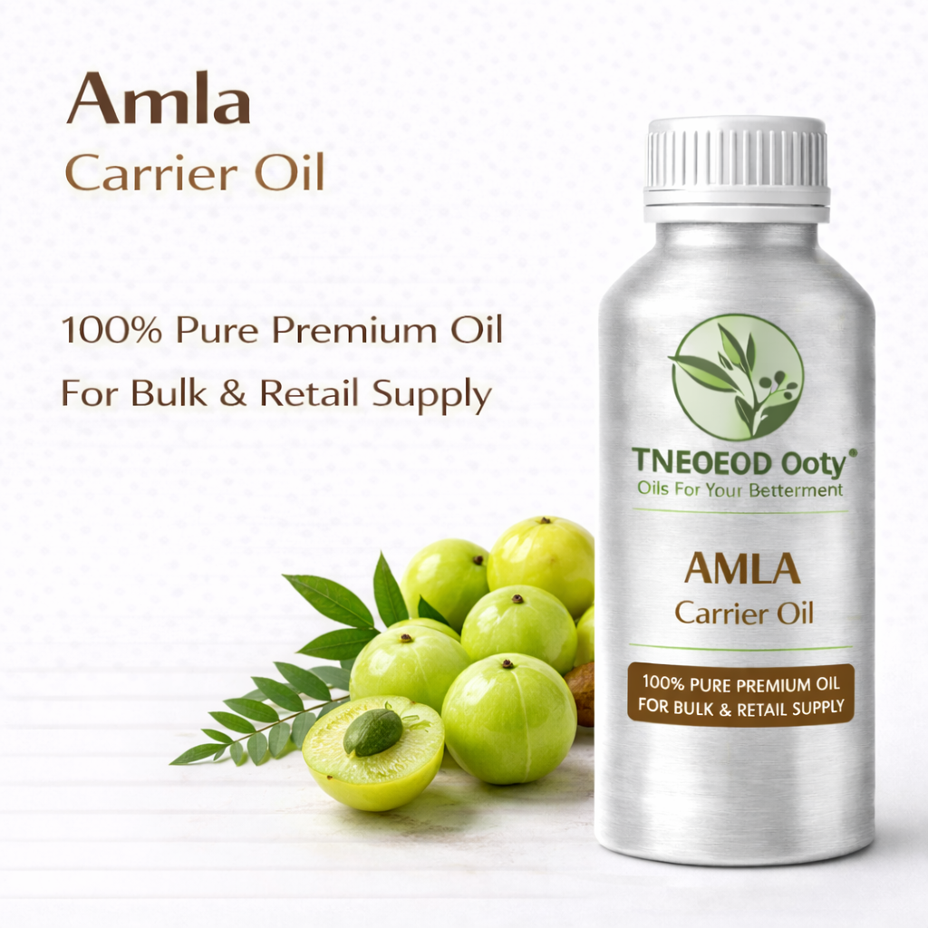 Amla Carrier Oil Cold Pressed Natural Oil
