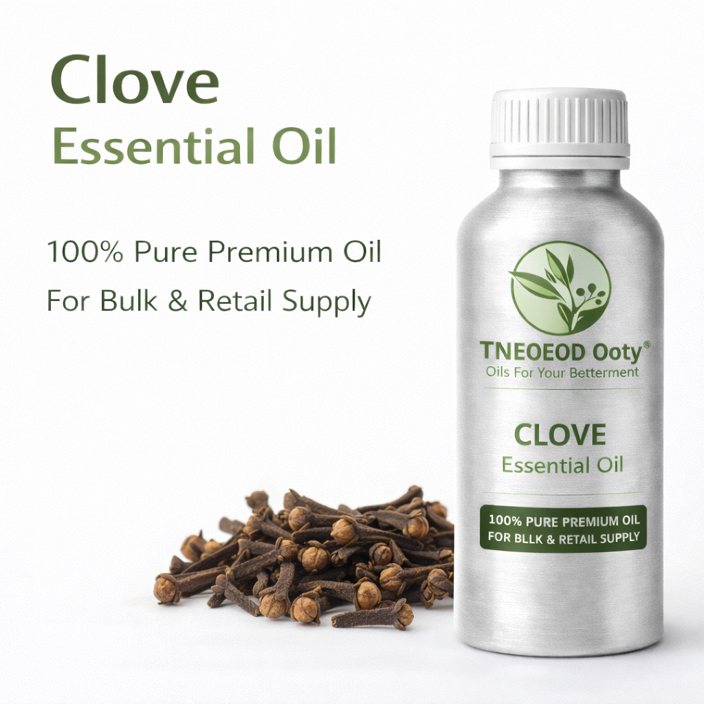 Clove Essential Oil with Strong Spicy Aroma