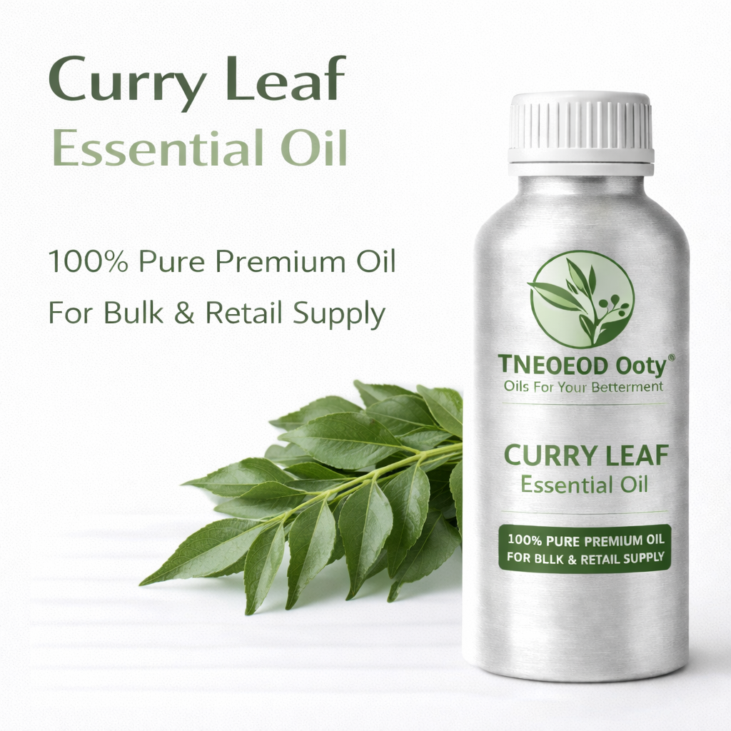 Curry Leaf Essential Oil for Scalp Care and Strengthening