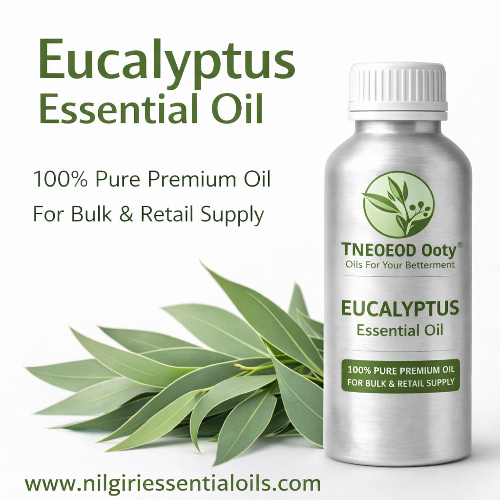 Eucalyptus essential oil / Nilgiri oil