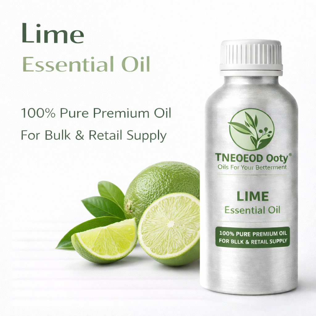 Lime Essential Oil for Aromatherapy and Refreshing Use