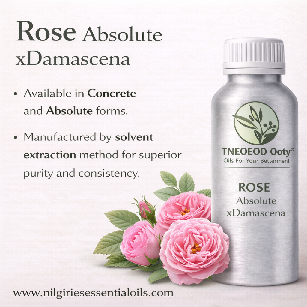 Rosa Damascena Absolute