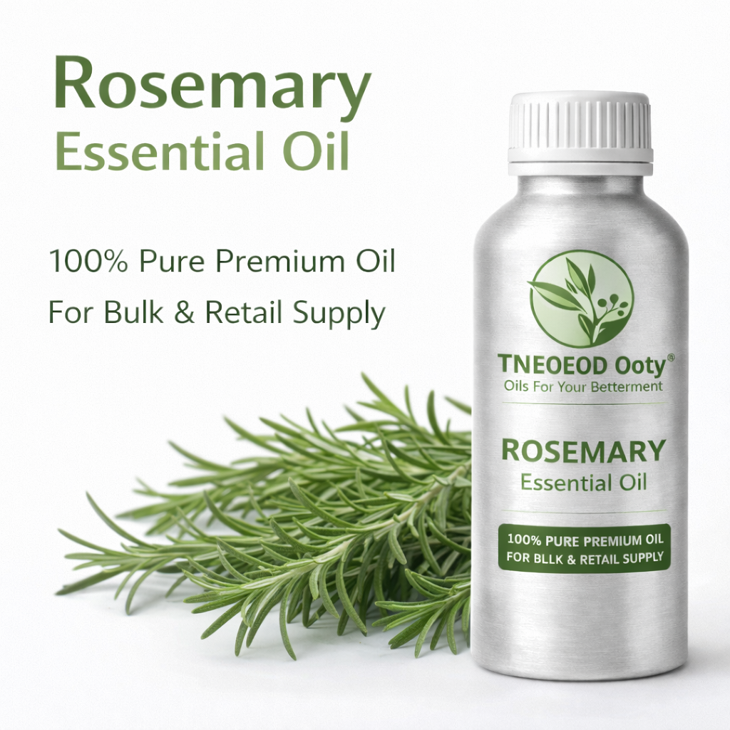 Rosemary Essential Oil for Hair Growth and Care