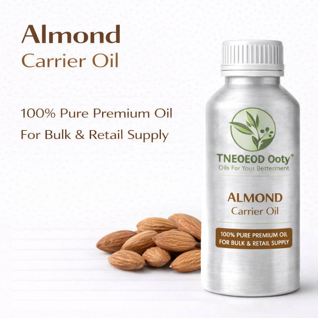 Almond Carrier Oil Cold Pressed Natural Oil