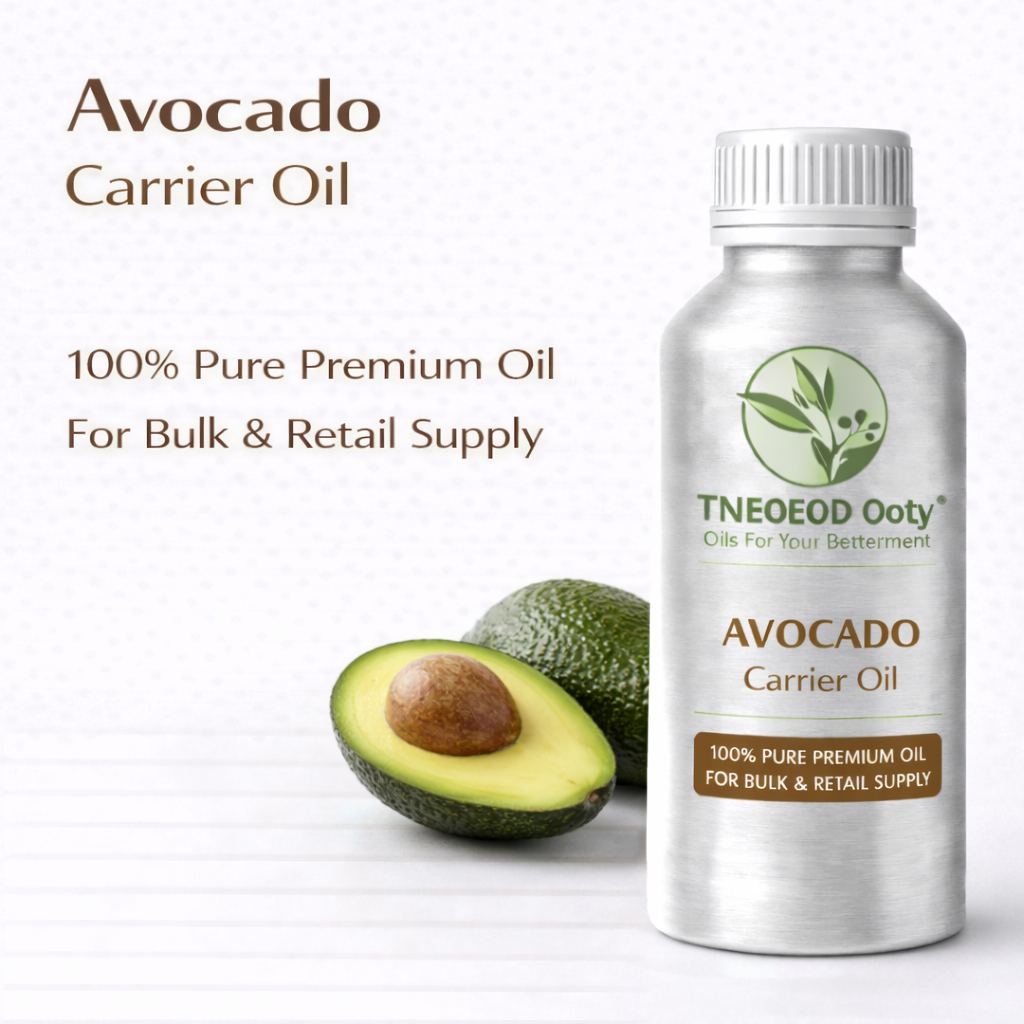 Avocado Carrier Oil Cold Pressed Natural Oil
