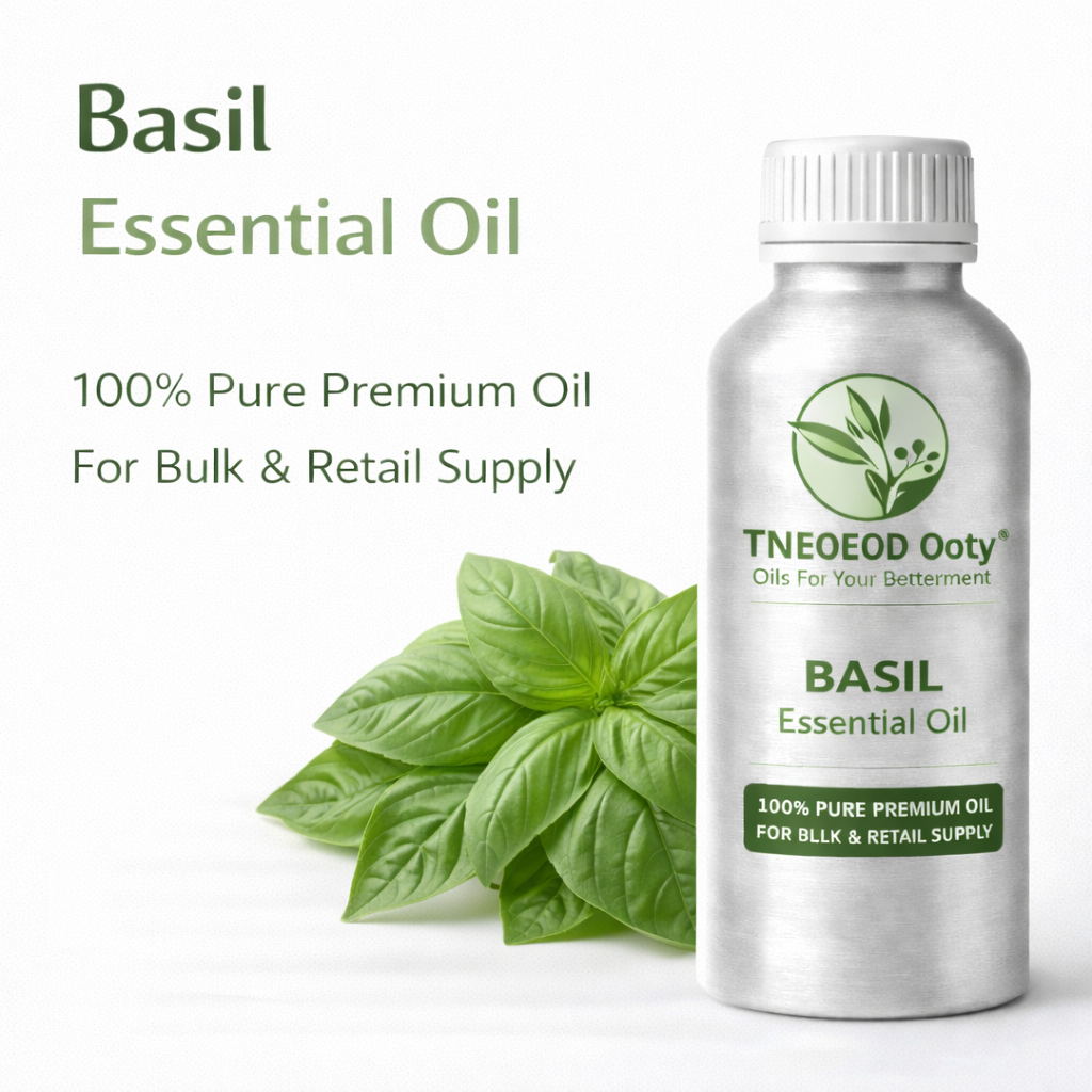 Basil Essential Oil with Fresh Herbal Aroma