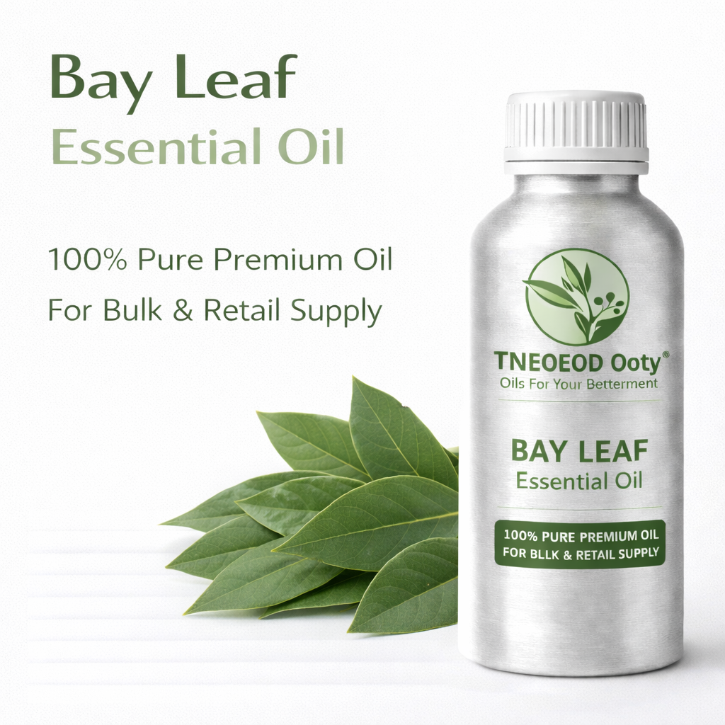 Bay Leaf Essential Oil for Pain Relief and Massage