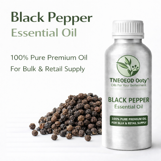 Black Pepper Essential Oil with Warm Spicy Aroma