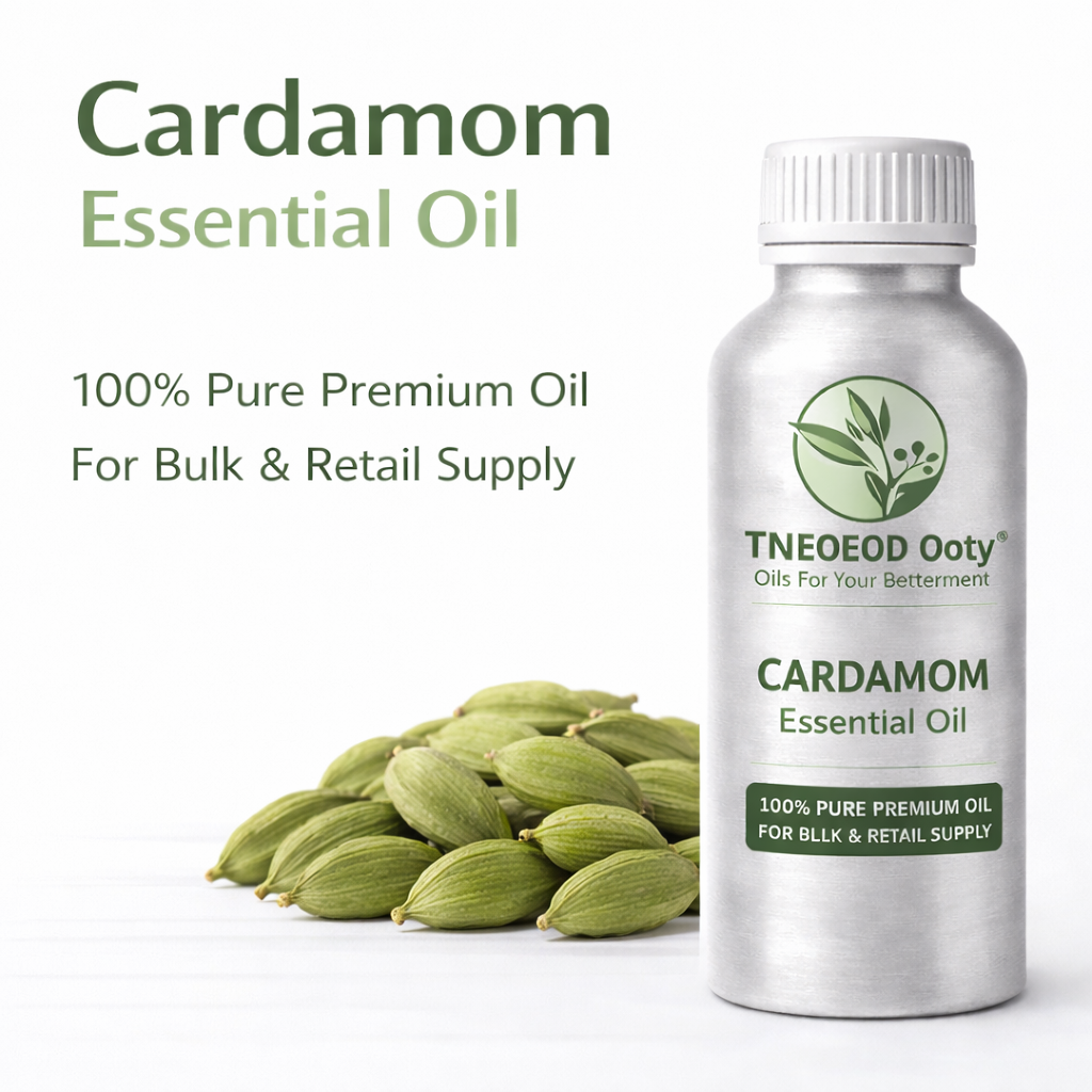 Cardamom Essential Oil with Warm Spicy Aroma