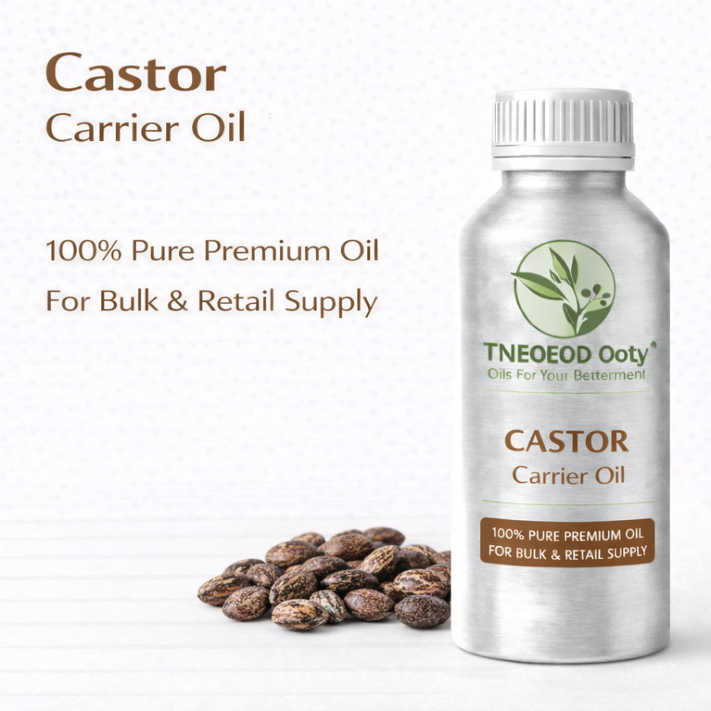 Castor Carrier Oil Cold Pressed Natural Oil