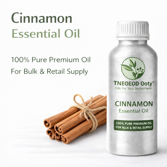Cinnamon Essential Oil for Pain Relief and Massage