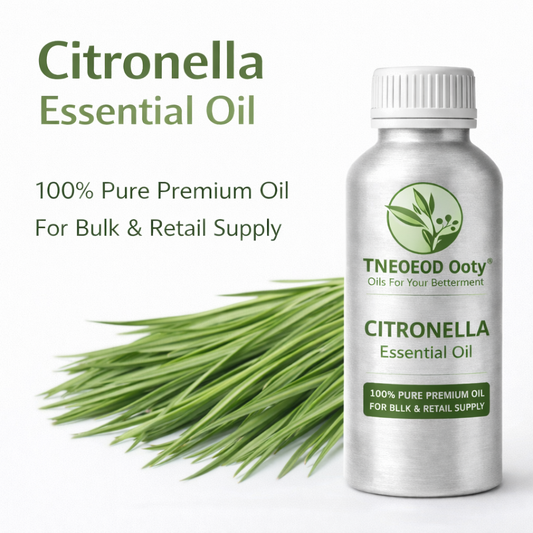 Citronella Essential Oil for Mosquito Repellent