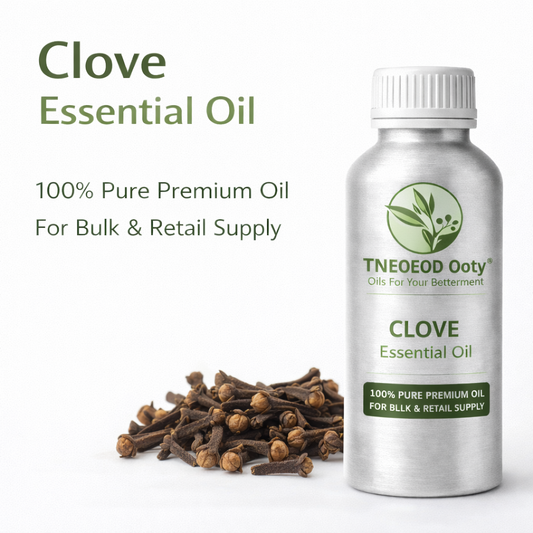 Clove Essential Oil with Strong Spicy Aroma