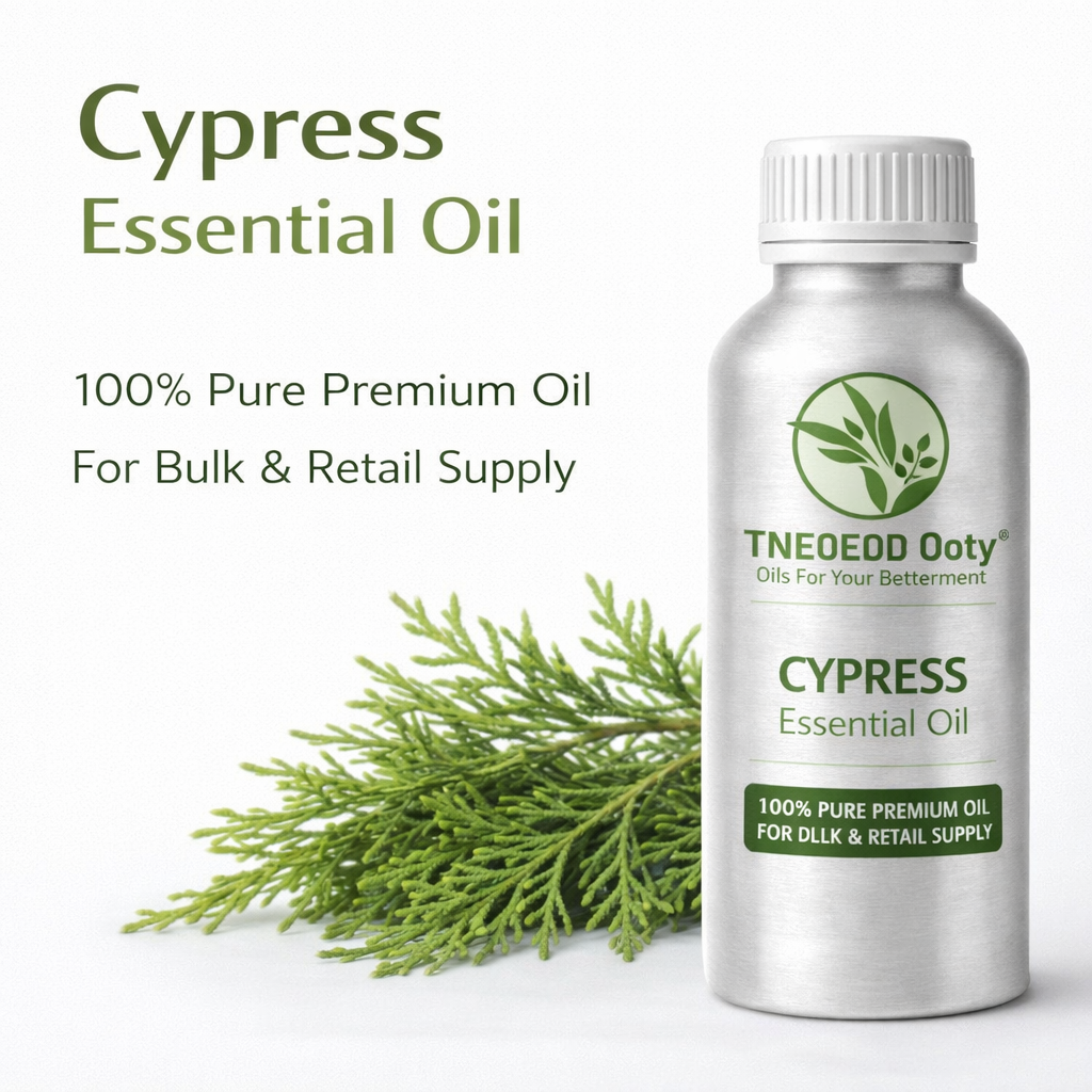 Cypress Essential Oil for Aromatherapy and Relaxation