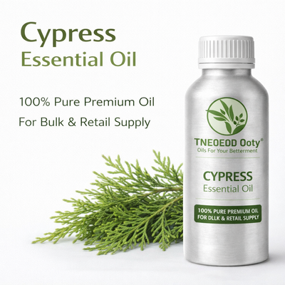 Cypress Essential Oil