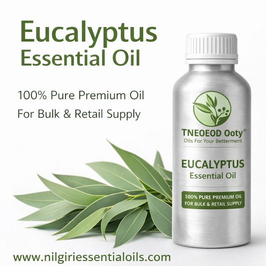 Eucalyptus essential oil / Nilgiri oil