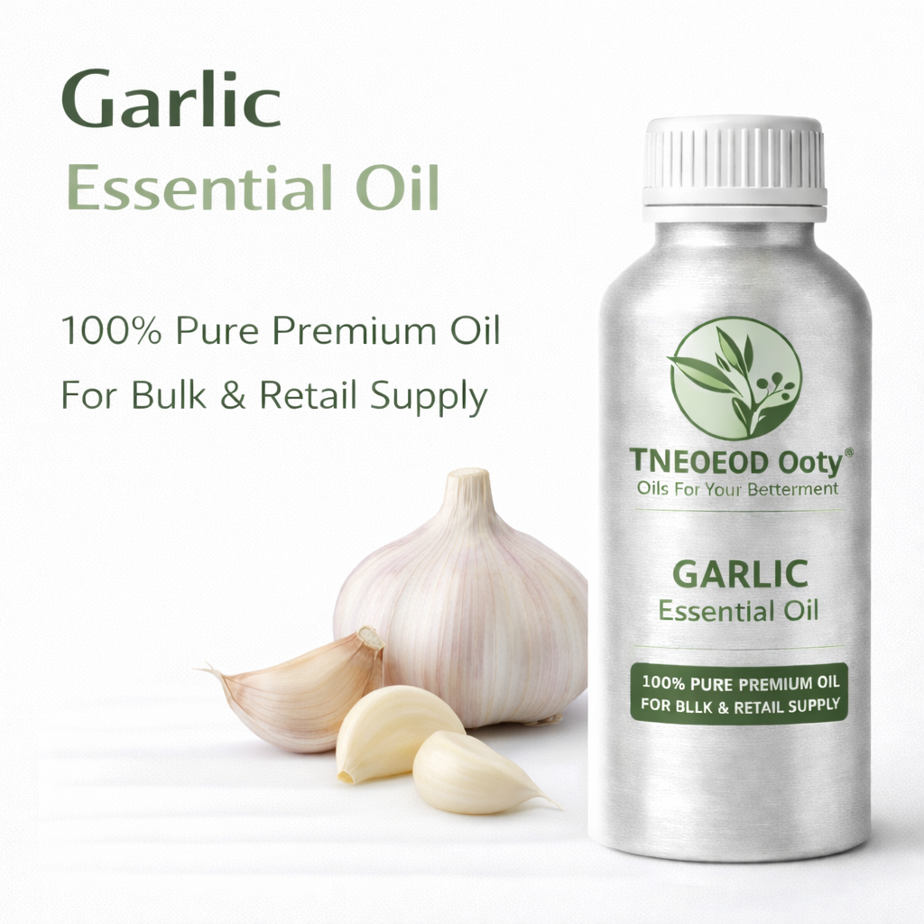 Garlic Essential Oil with Strong Natural Aroma