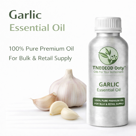 Garlic Essential Oil with Strong Natural Aroma