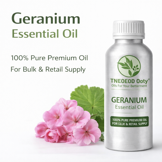 Geranium Essential oil