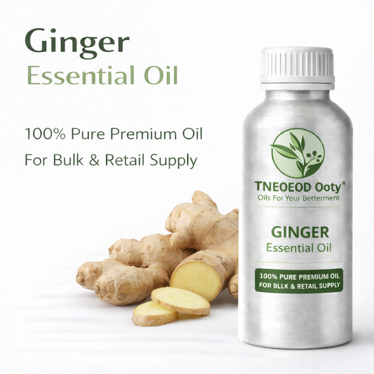 Ginger Essential Oil with Warm Spicy Aroma