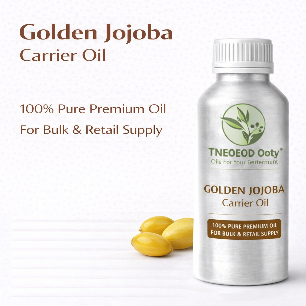 Golden Jojoba Carrier Oil for Skin and Hair Care