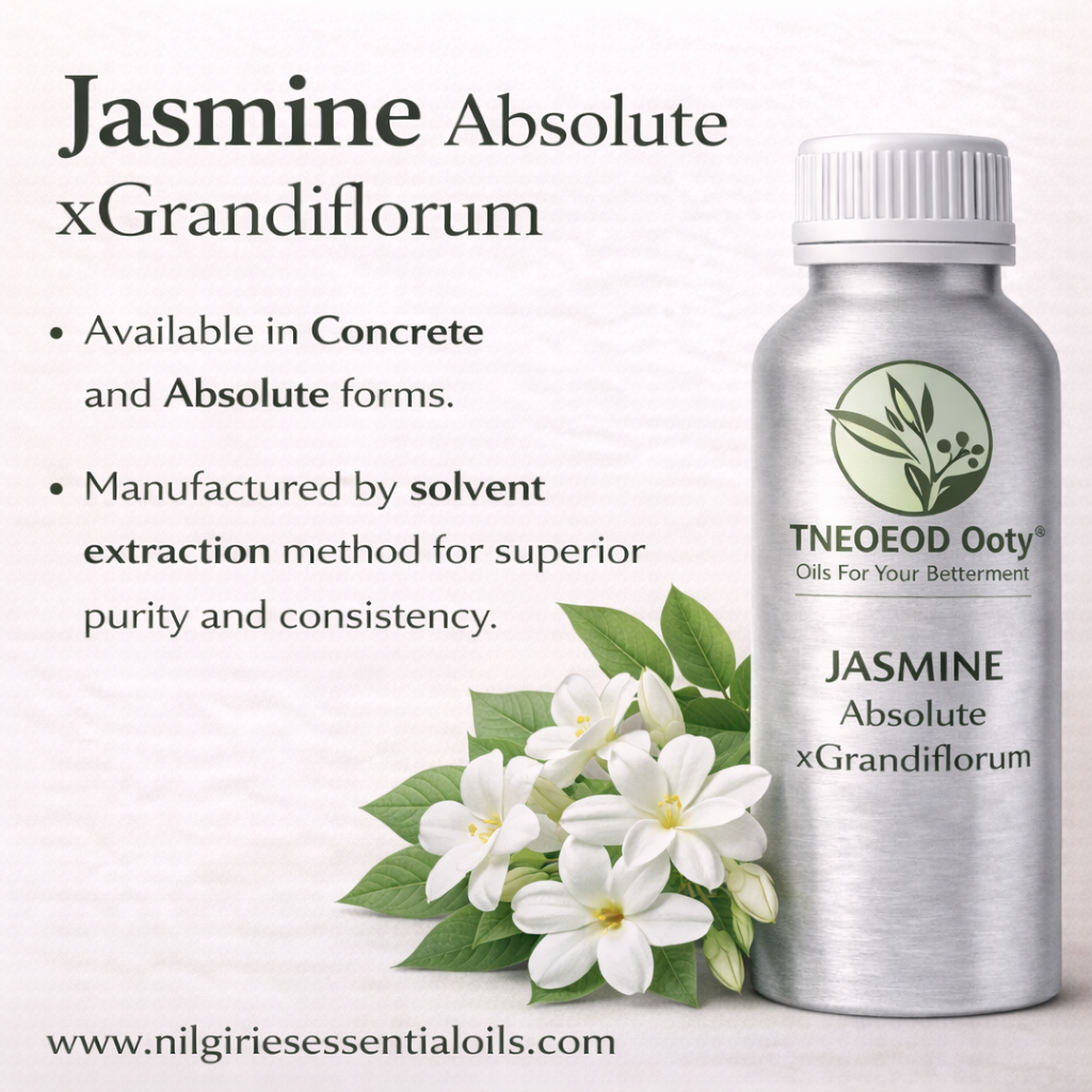 Jasminum Grandiflorum Absolute