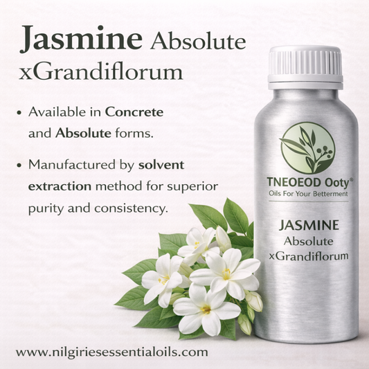 Jasminum Grandiflorum Absolute