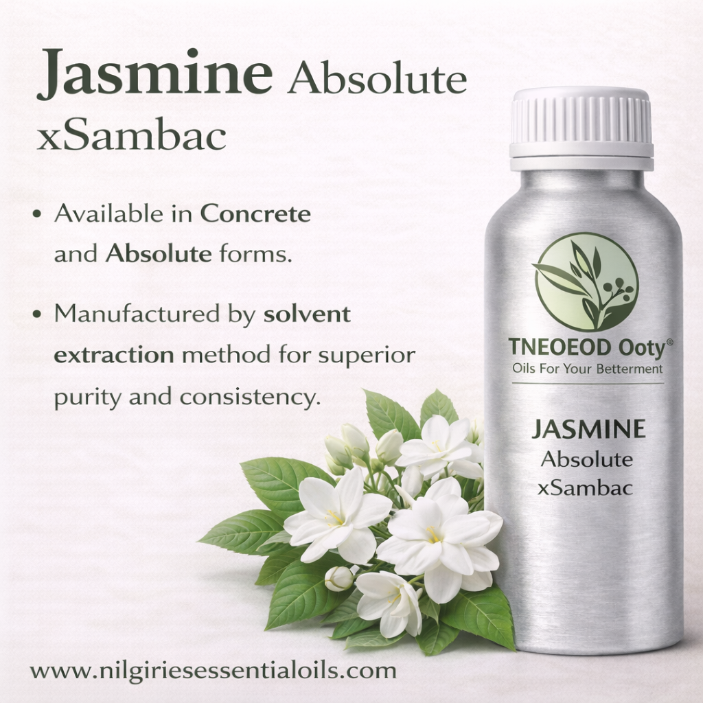 Jasminum Sambac Absolute