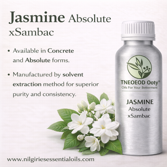Jasminum Sambac Absolute