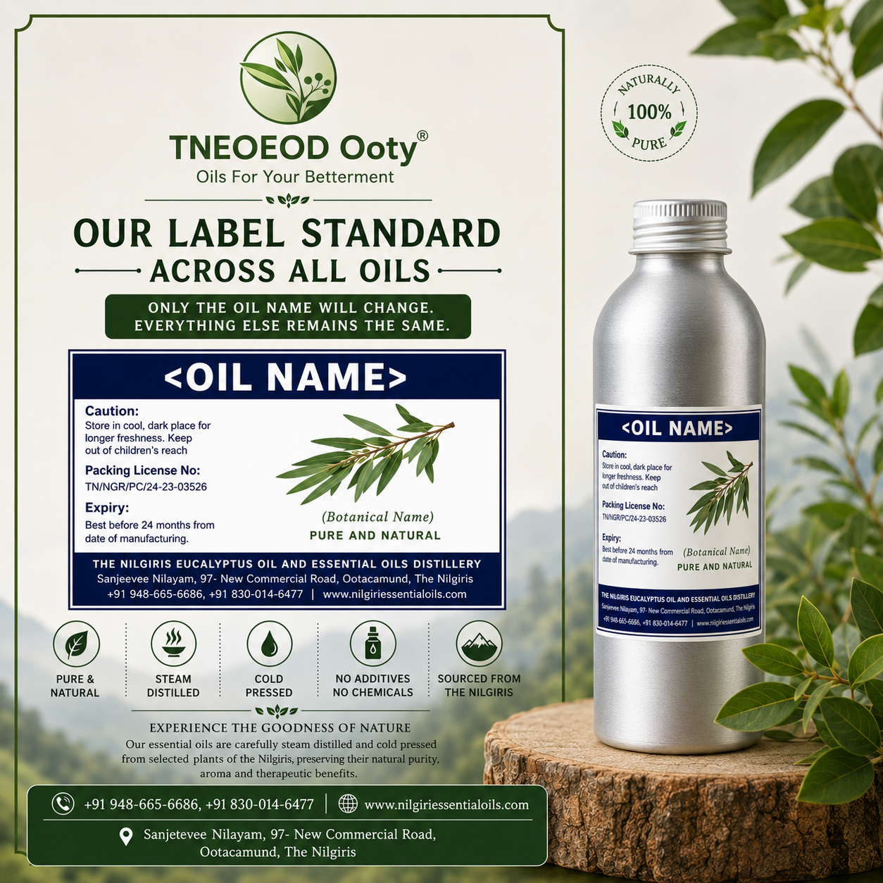 Camphor Essential Oil