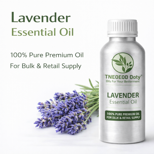 Lavender Essential Oil for Stress Relief and Aromatherapy