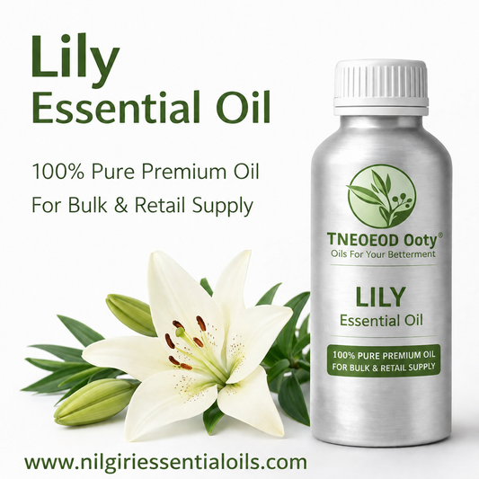 lily essential oil