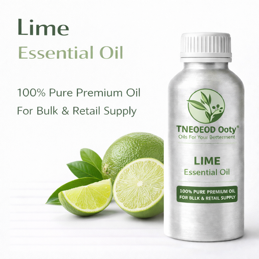 Lime Essential Oil for Aromatherapy and Refreshing Use