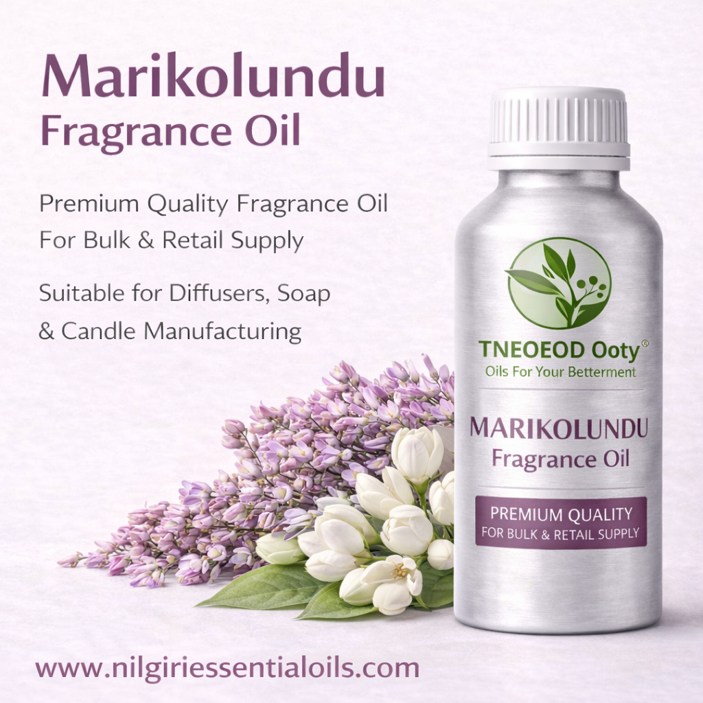 Marikolundu Fragrance Oil for Candles and Soap