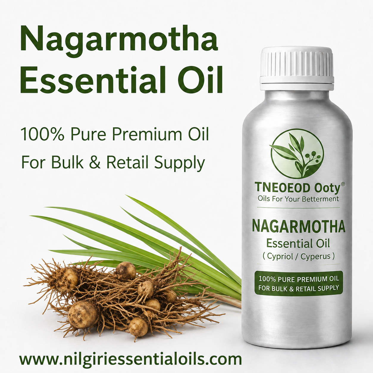 Nagarmotha / Cypriol  / Cyperus Essential oil
