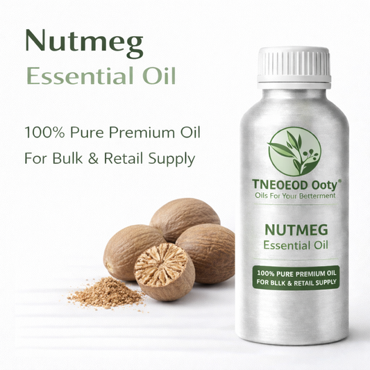 Nutmeg Essential Oil for Aromatherapy and Relaxation