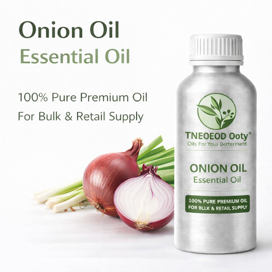 Onion Essential Oil for Hair Growth and Care