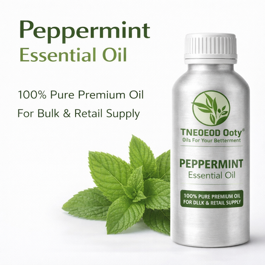 Peppermint Essential Oil with Fresh Minty Aroma