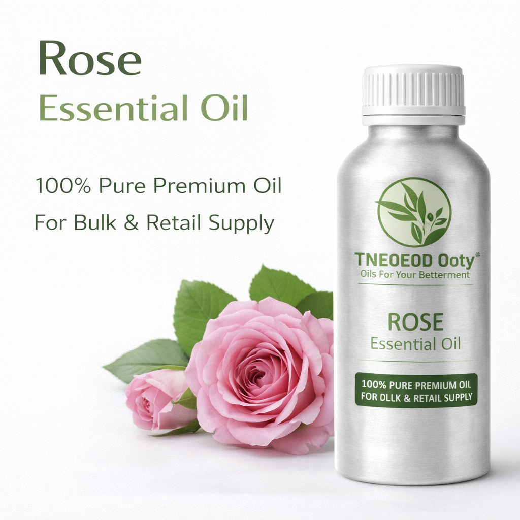 Rose Essential Oil - 100% Pure | Steam Distilled | Ideal for Skincare ...