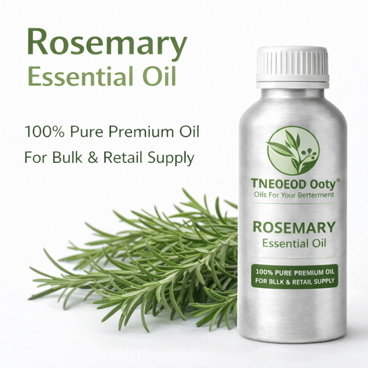 Rosemary Essential Oil for Hair Growth and Care