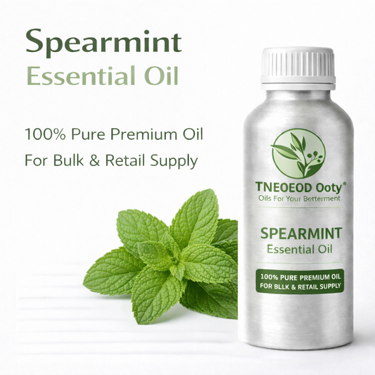 Spearmint Essential Oil with Fresh Minty Aroma