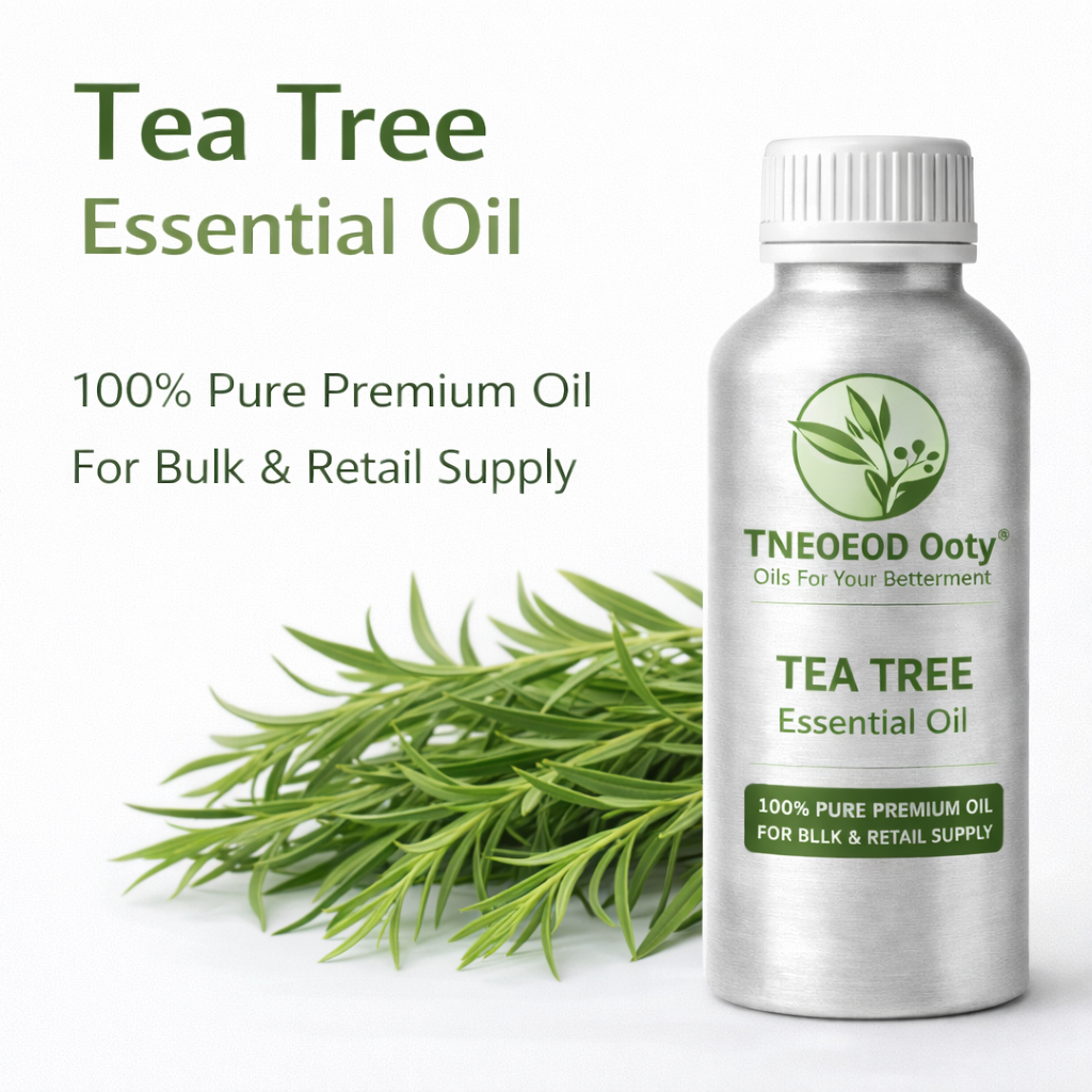 Tea Tree Essential Oil for Acne and Skincare