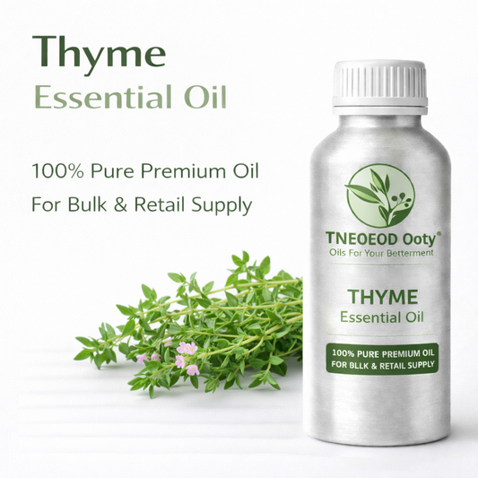 Thyme Essential Oil with Fresh Herbal Aroma