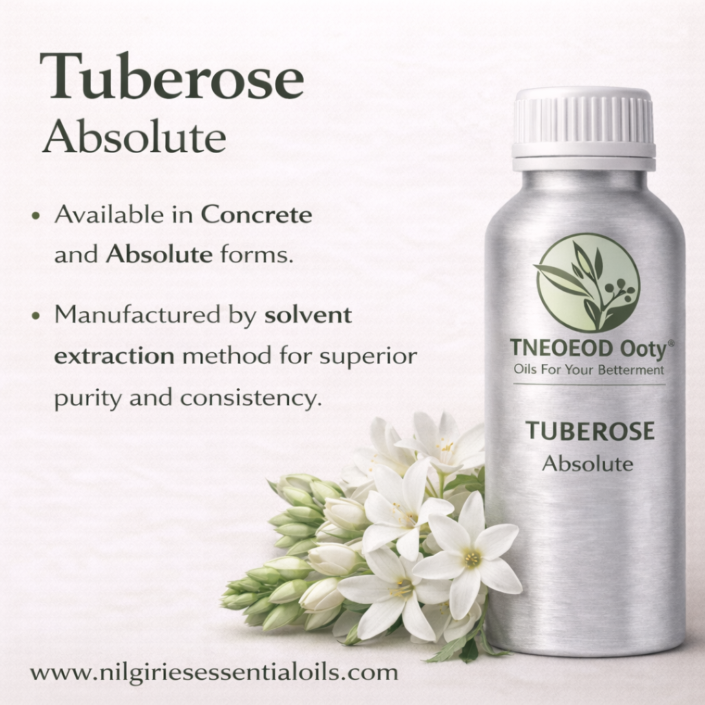 Tuberose Absolute