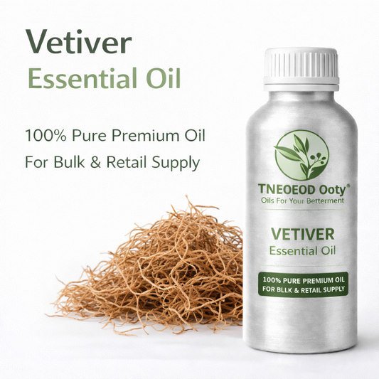 Vetiver Essential Oil for Skincare and Wellness