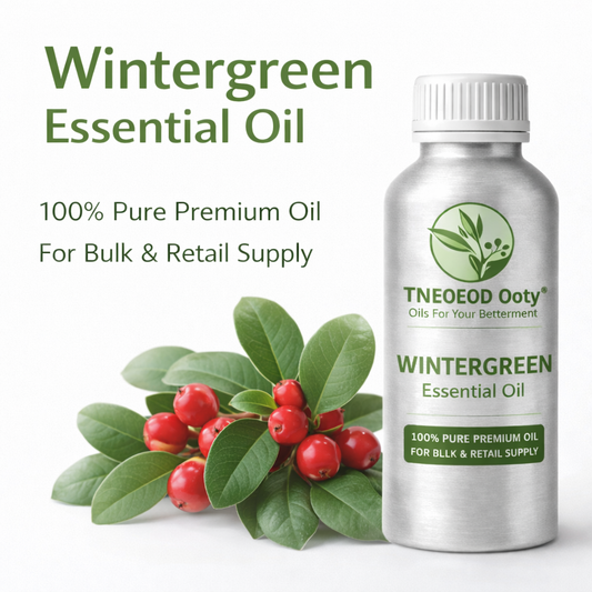 TNEOEOD Ooty wintergreen essential oil bottle with wintergreen leaves and berries on a white background