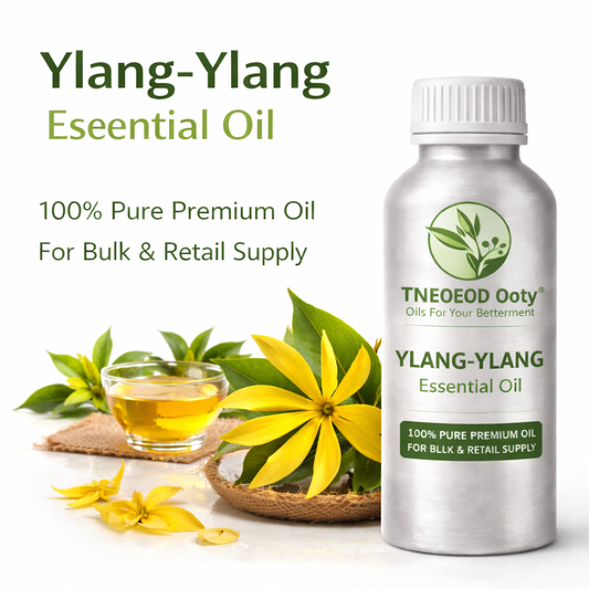 Pure Ylang-Ylang Essential Oil for Aromatherapy